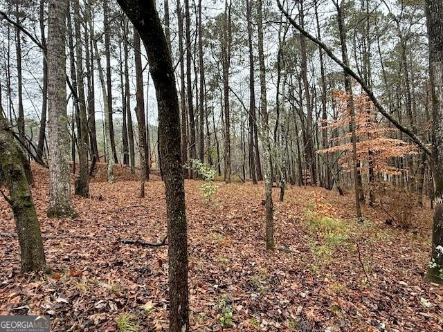 17 Chattahoochee Drive Hogansville - 6