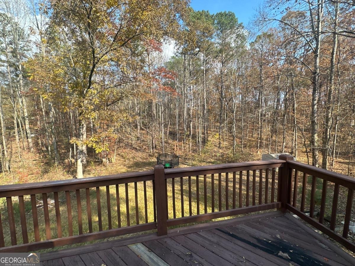 461 Austin Bridge Road Douglasville - 14