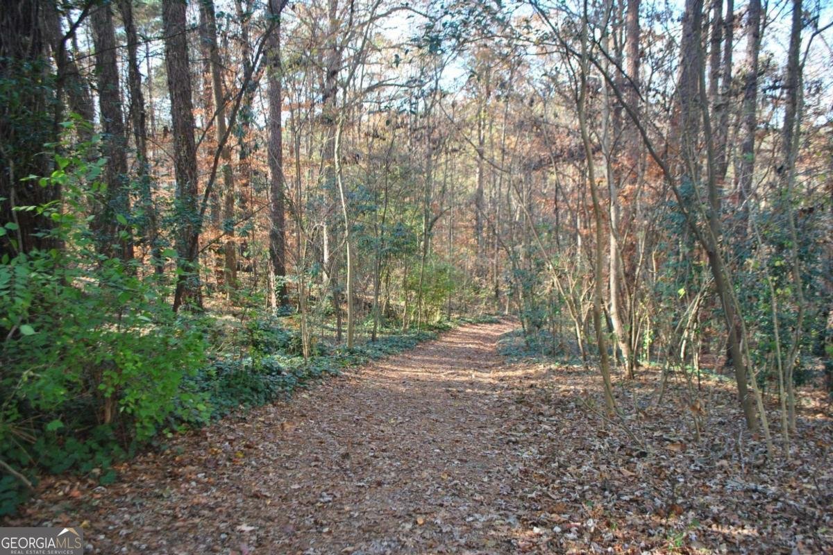 2209 Willivee Place Decatur - 31