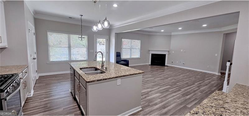 4317 WATER MILL Drive Buford - 13