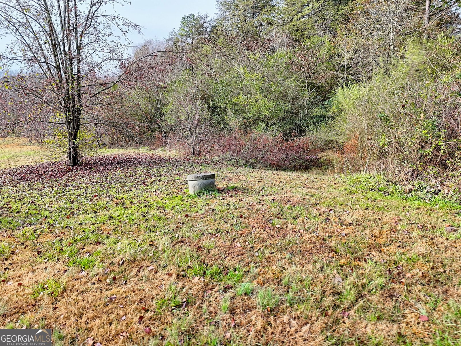 1085 Smokey Road Alto - 50