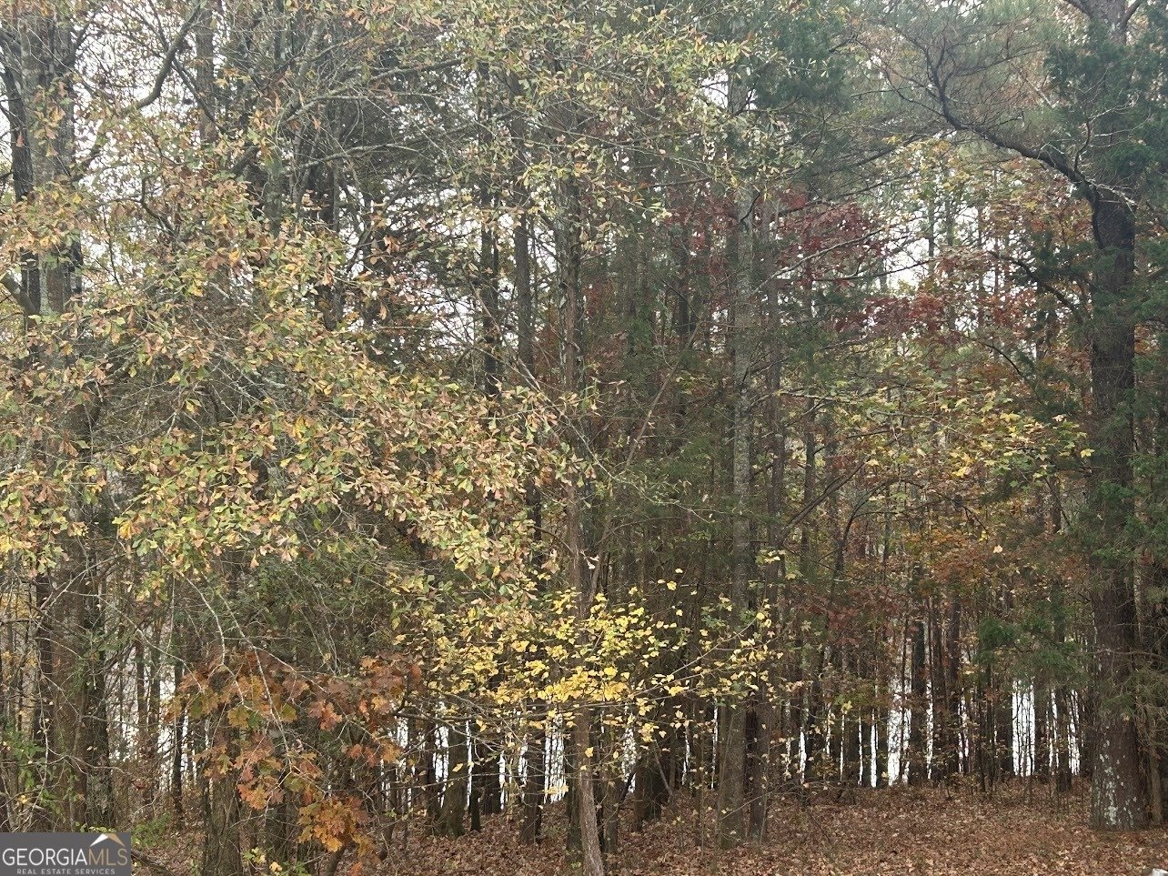 3220 Waterplace Cove Villa Rica - 33