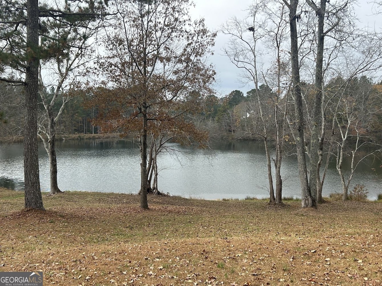 3220 Waterplace Cove Villa Rica - Photo 38