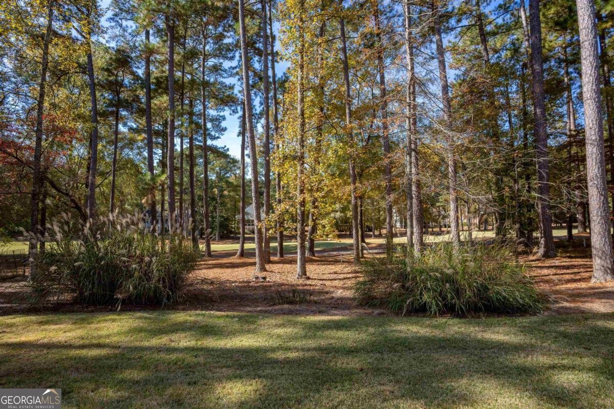 1071 Spy Glass Hill Greensboro - 37