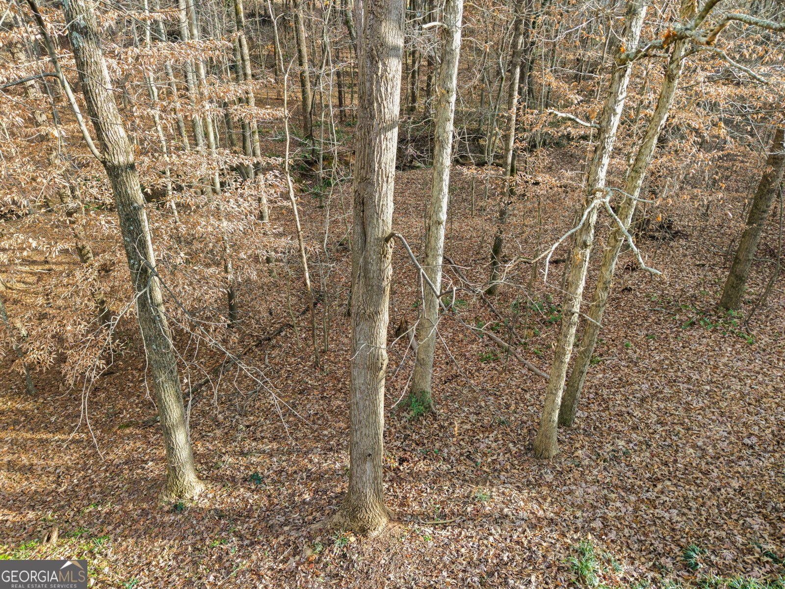 5551 Rose Ridge Court Flowery Branch - 6