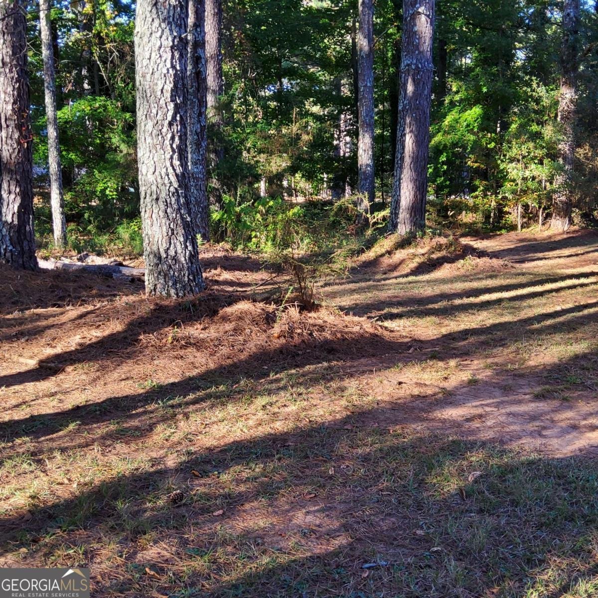 40 New Salem Drive Mcdonough - 15