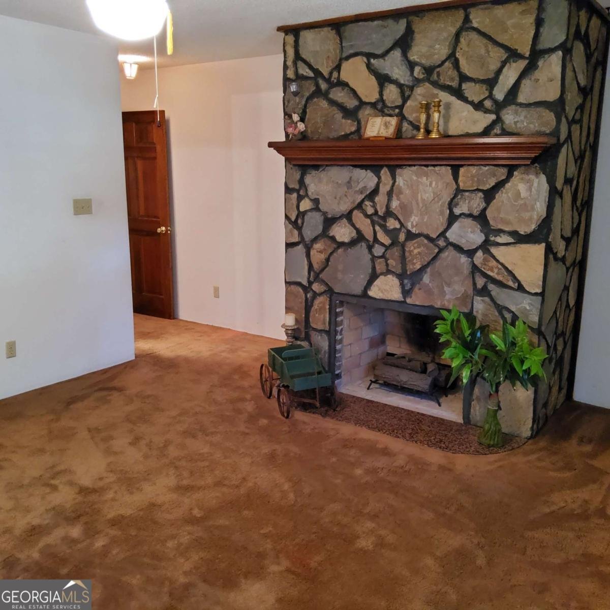 40 New Salem Drive Mcdonough - 17