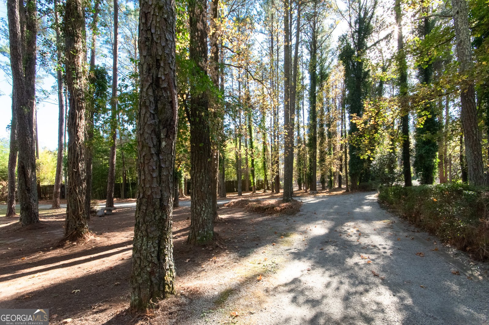 336 Ruth Drive Newnan - 16