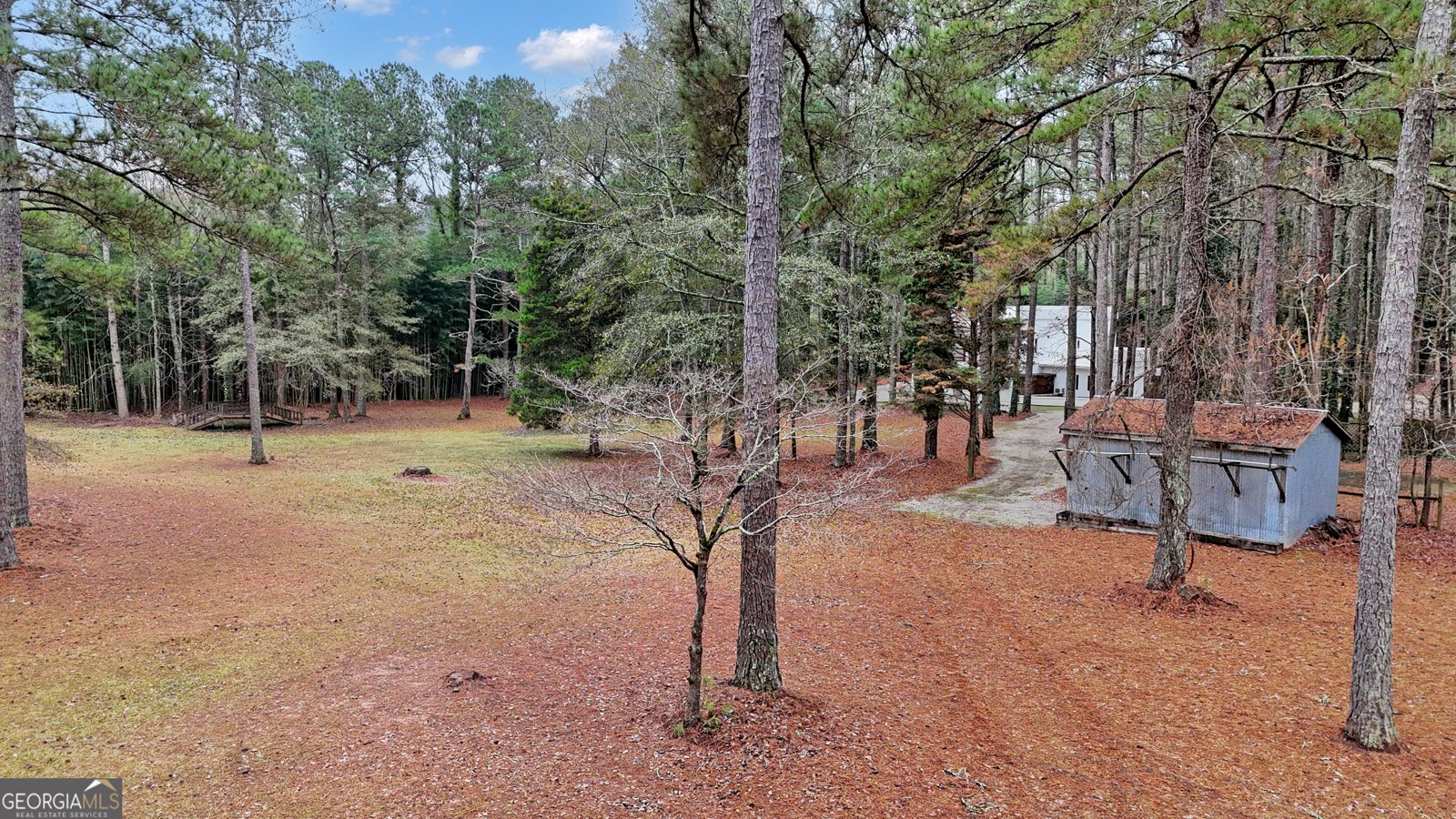 336 Ruth Drive Newnan - 79