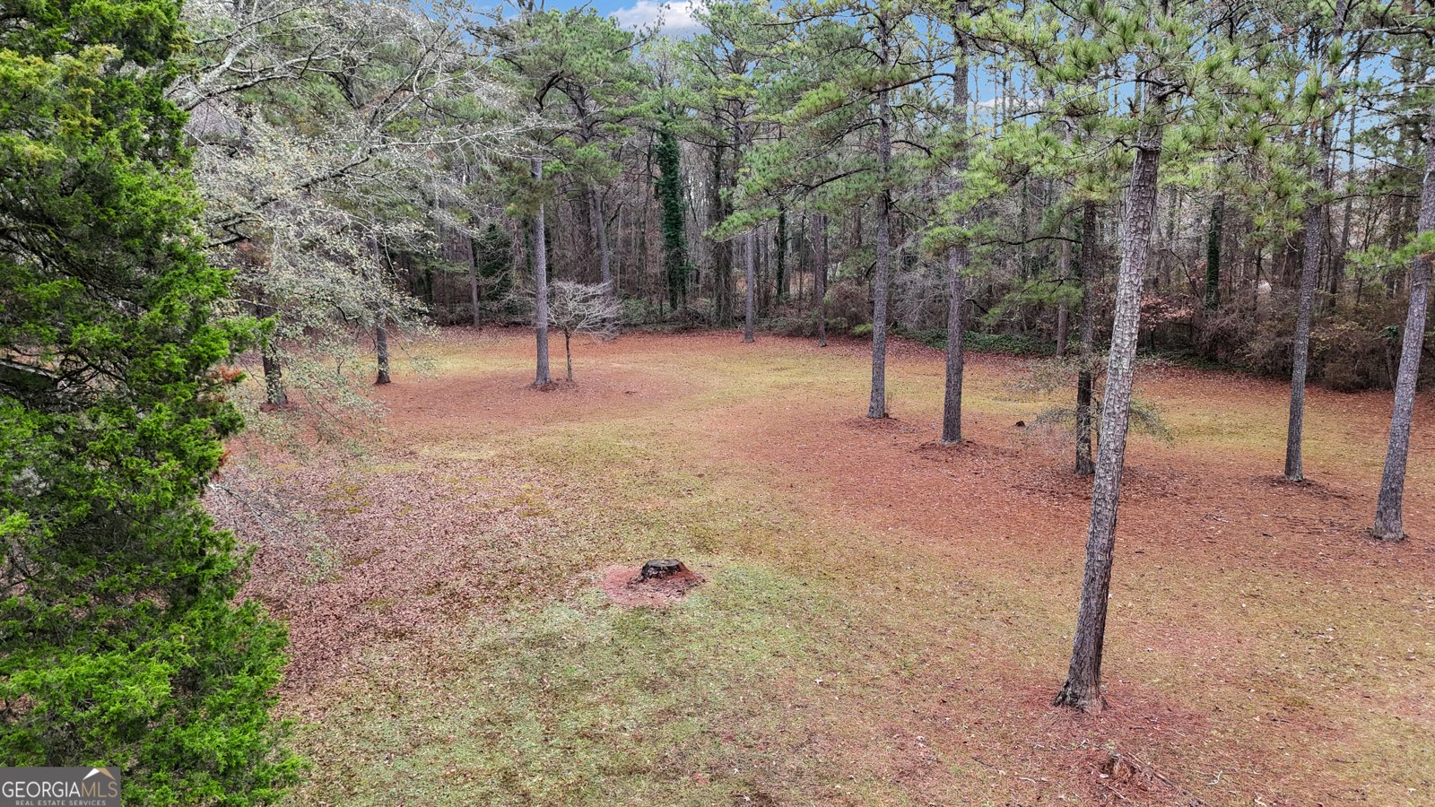 336 Ruth Drive Newnan - 81