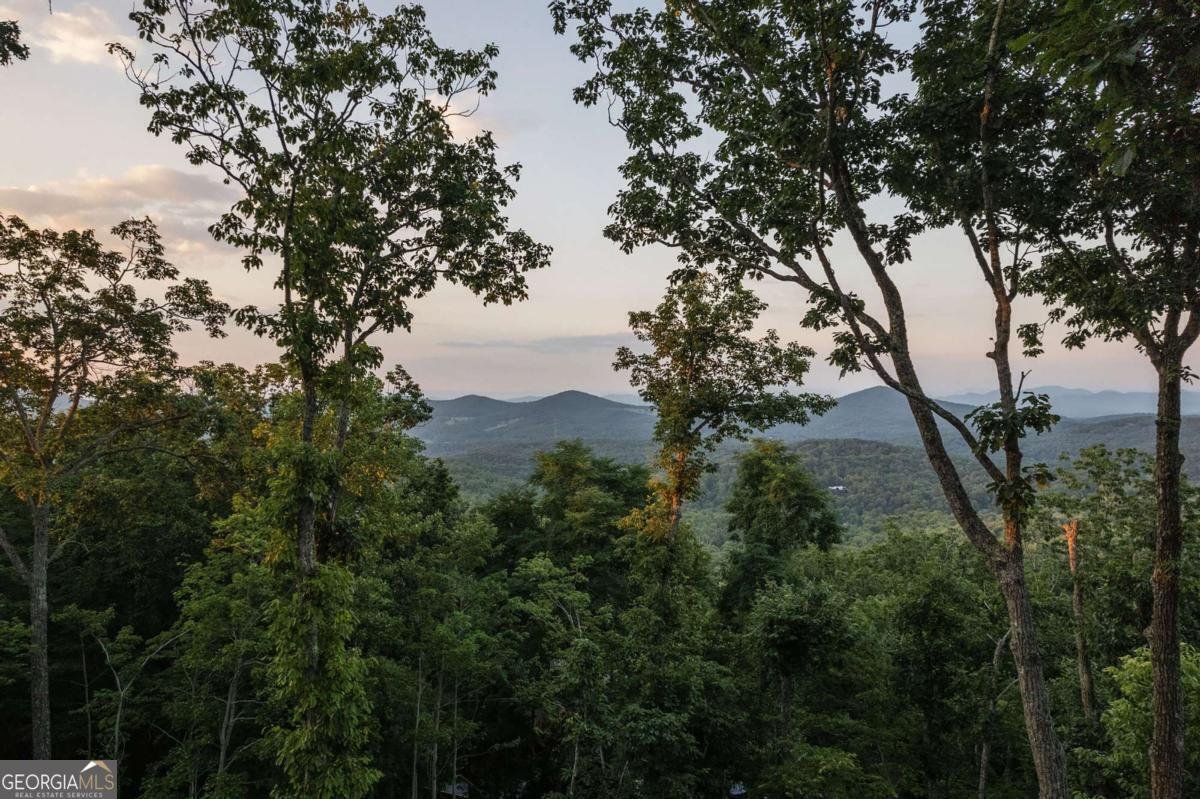 224 Eagle Ridge Morganton - 4