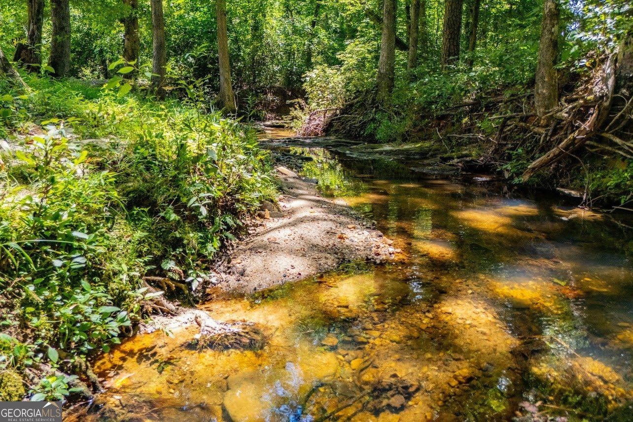 955 Pointers Way Lawrenceville - 69