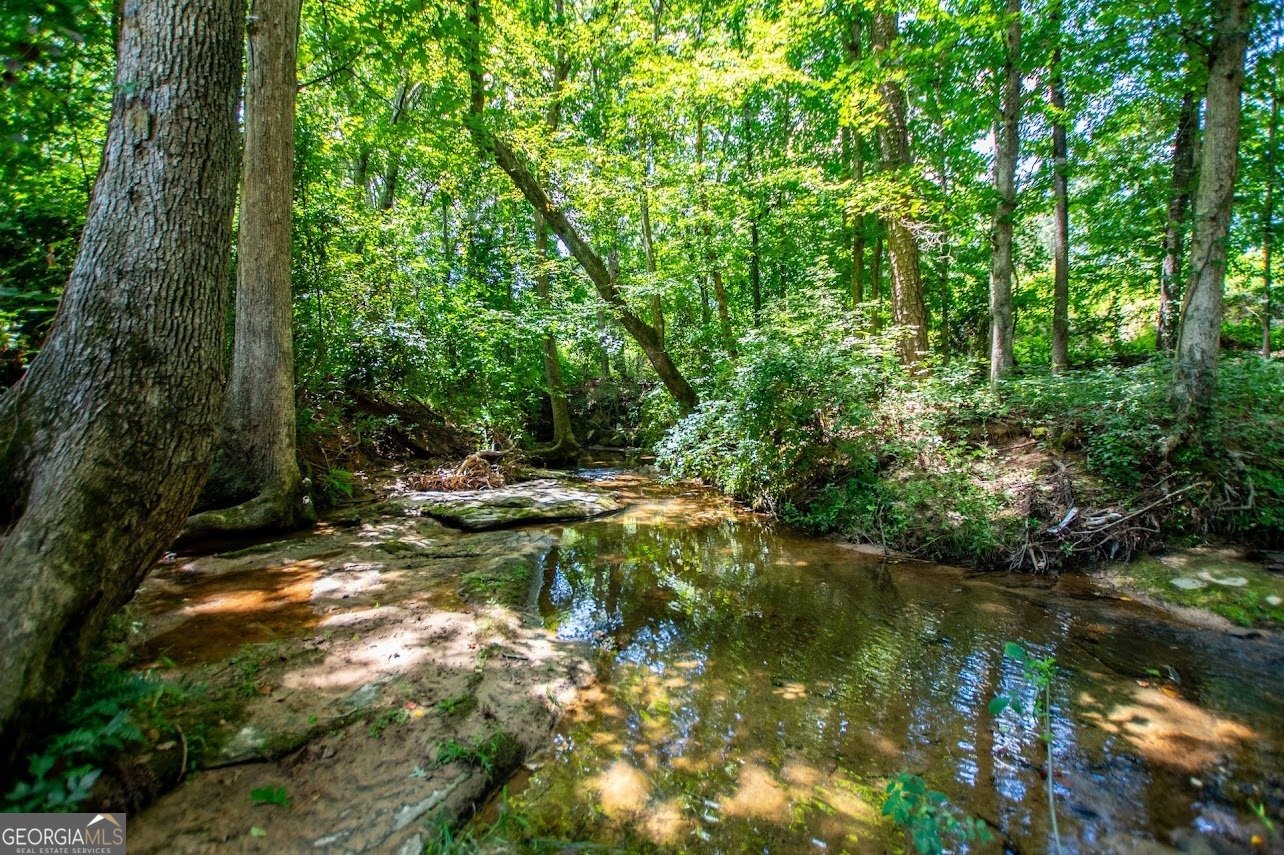 955 Pointers Way Lawrenceville - 70