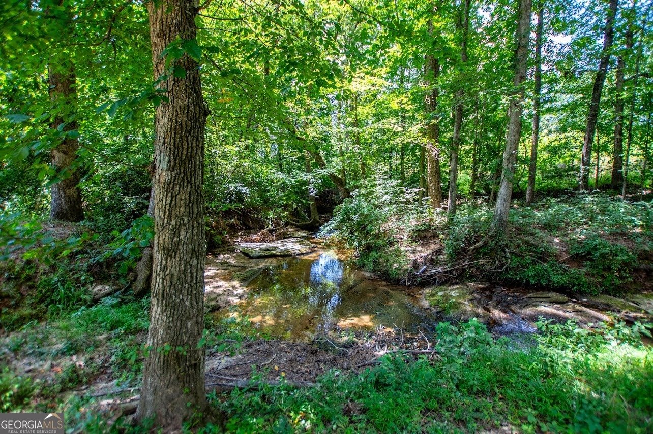 955 Pointers Way Lawrenceville - 71