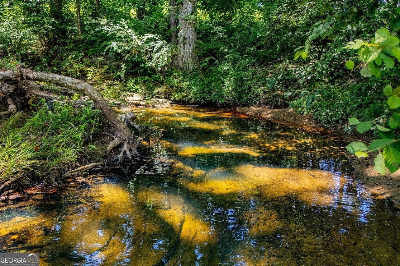 955 Pointers Way Lawrenceville - 74