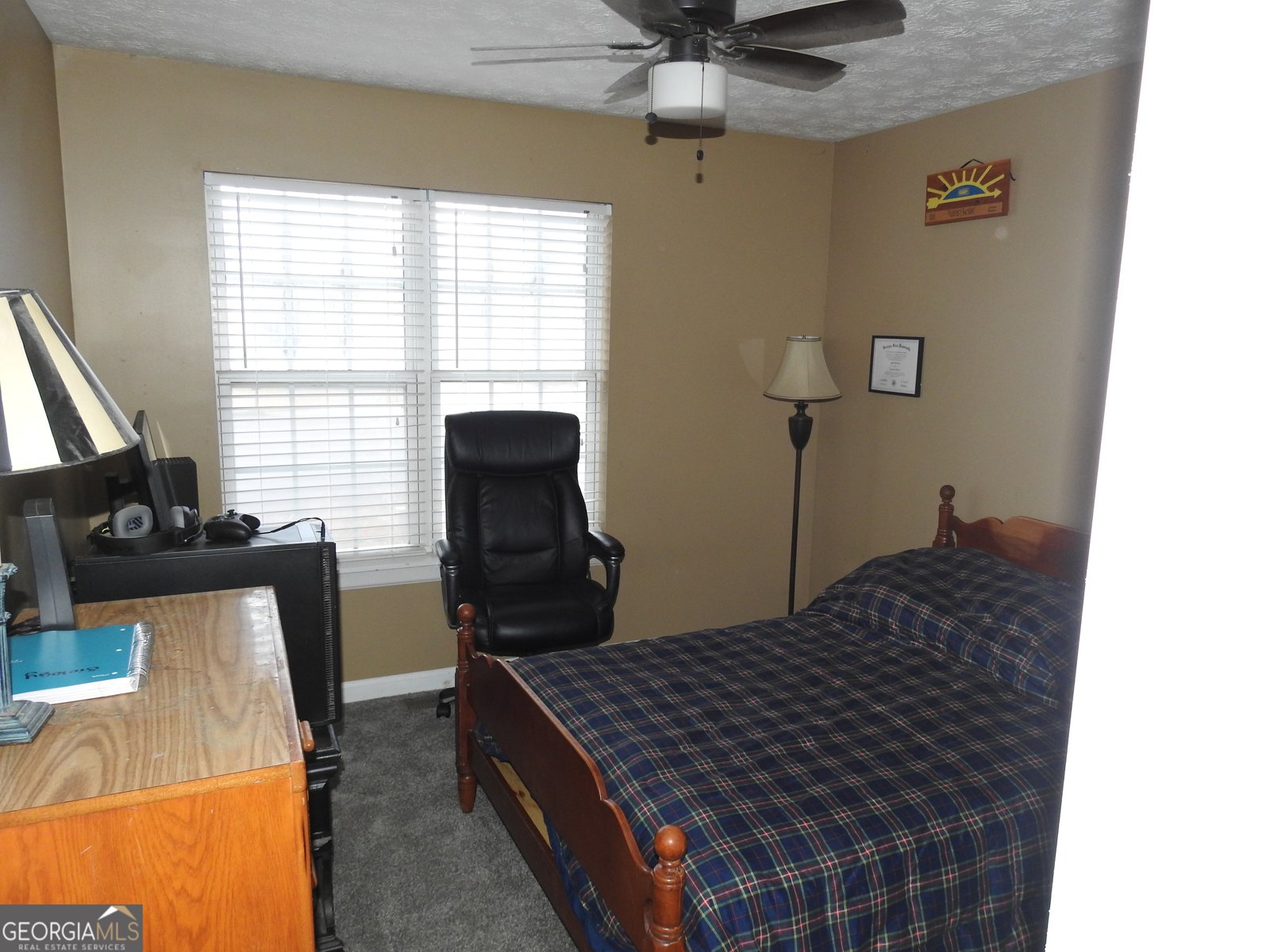 743 Vinebrook Lane Suwanee - 19