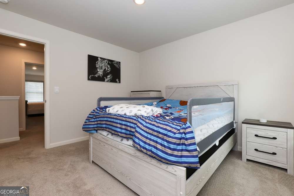 296 Barnwood Lane Dawsonville - 35