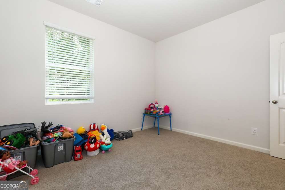 296 Barnwood Lane Dawsonville - 48