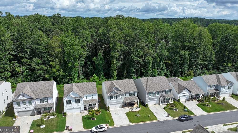 296 Barnwood Lane Dawsonville - 9