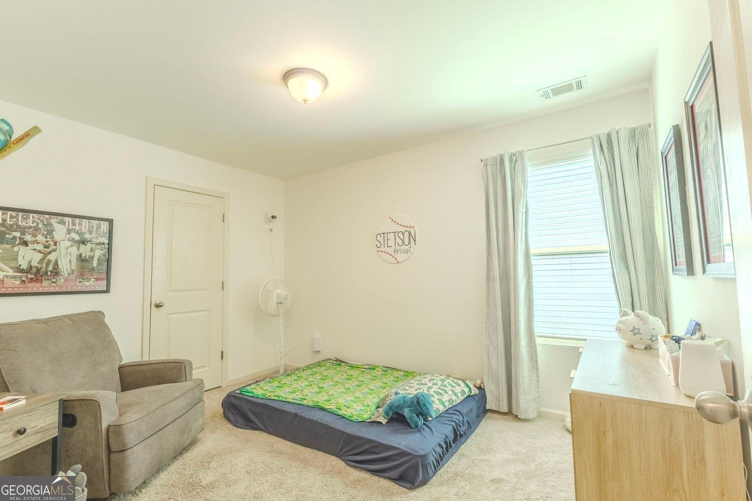 331 Merigold Way Pendergrass - 19