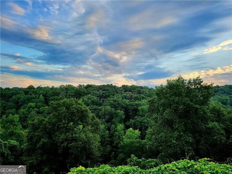 3120 Overland Drive Roswell - 29