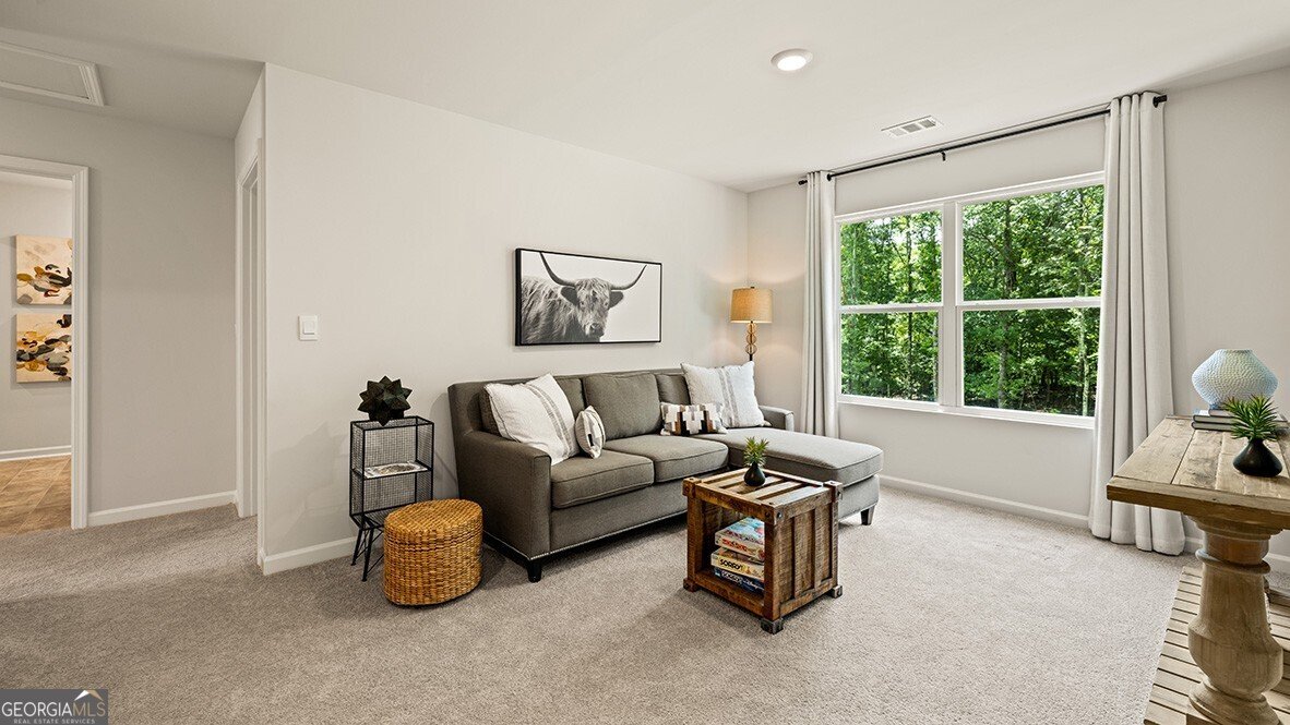 131 Biltmore Place Braselton - 36