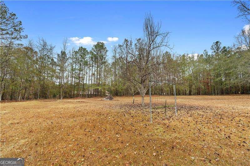 328 Rain Valley Circle Meansville - 32