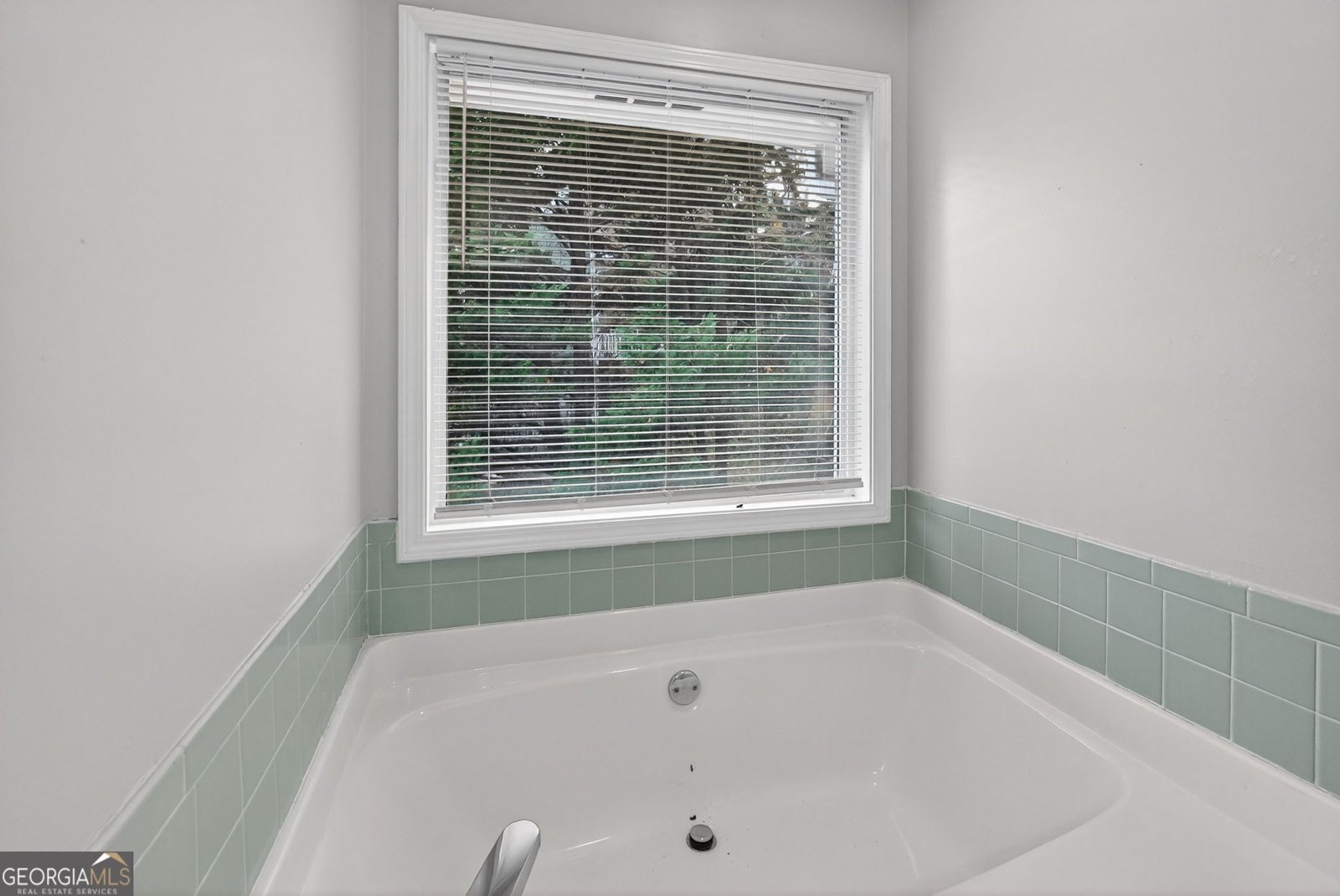 225 Hillandale Drive Stockbridge - 29