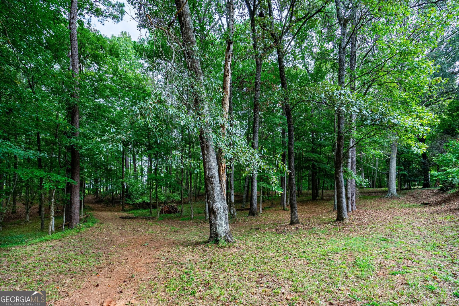 4004 White Oak Lane Lagrange - 32