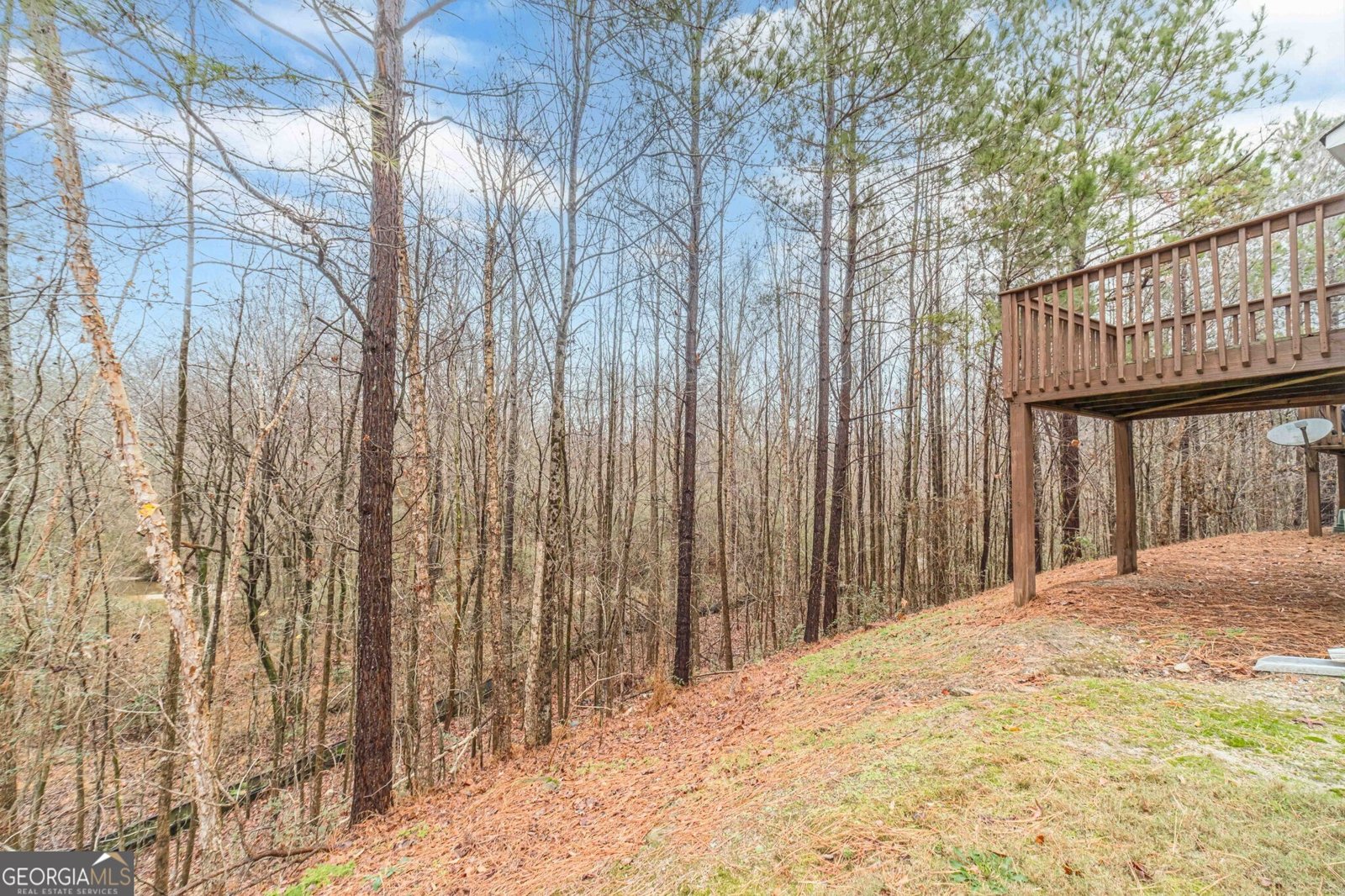 3056 Cedar Glade Lane Buford - 30