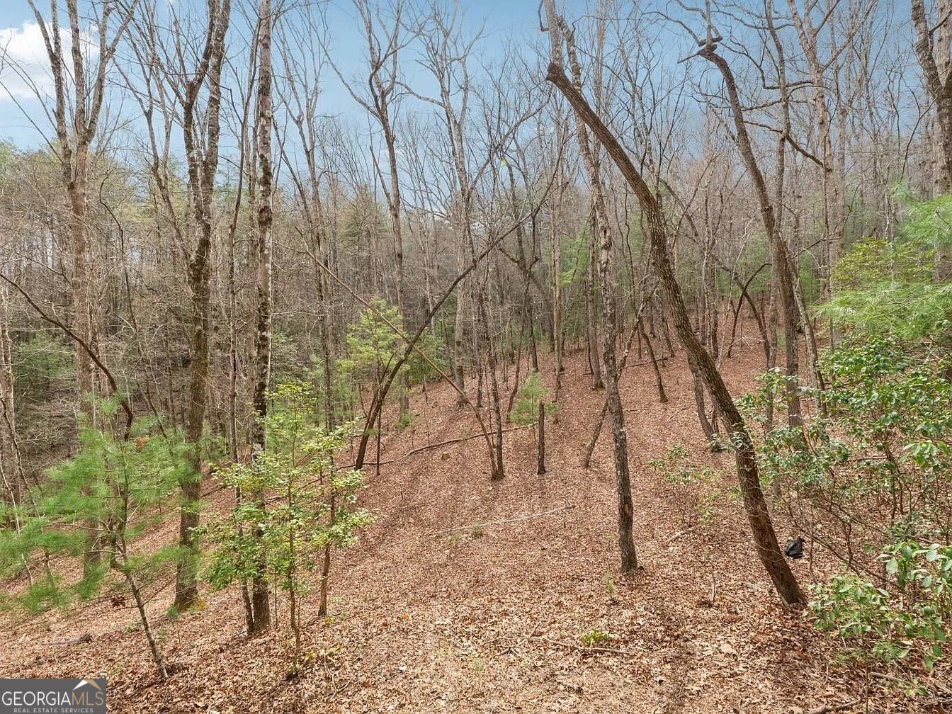 265 Wits End Way Cherry Log - 8