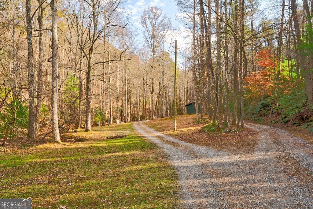 96 Clubhouse Court Ellijay - 42