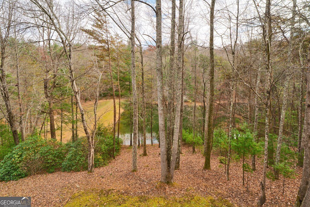 96 Clubhouse Court Ellijay - 43