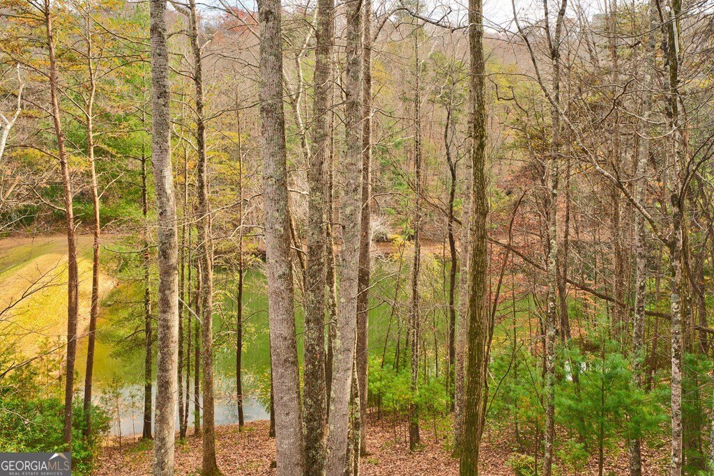 96 Clubhouse Court Ellijay - 44