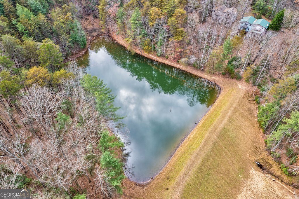 96 Clubhouse Court Ellijay - 45