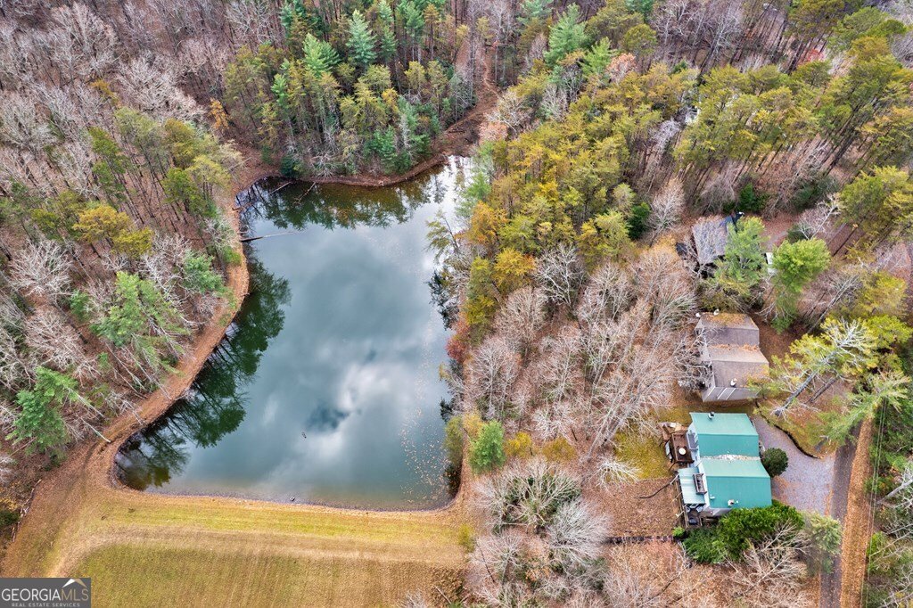 96 Clubhouse Court Ellijay - 47