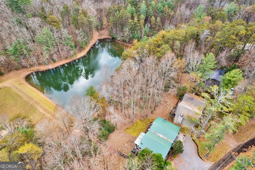 96 Clubhouse Court Ellijay - 48