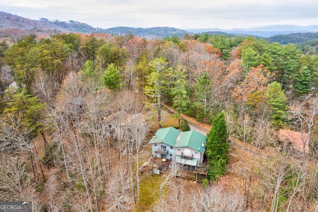 96 Clubhouse Court Ellijay - 49