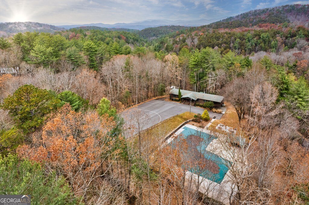 96 Clubhouse Court Ellijay - 52