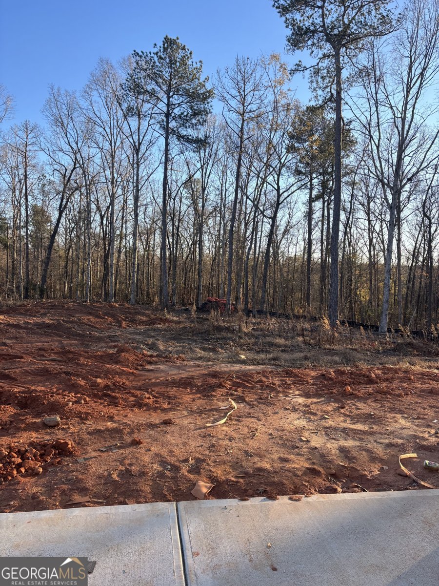 229 Lotus Lane Covington - 5