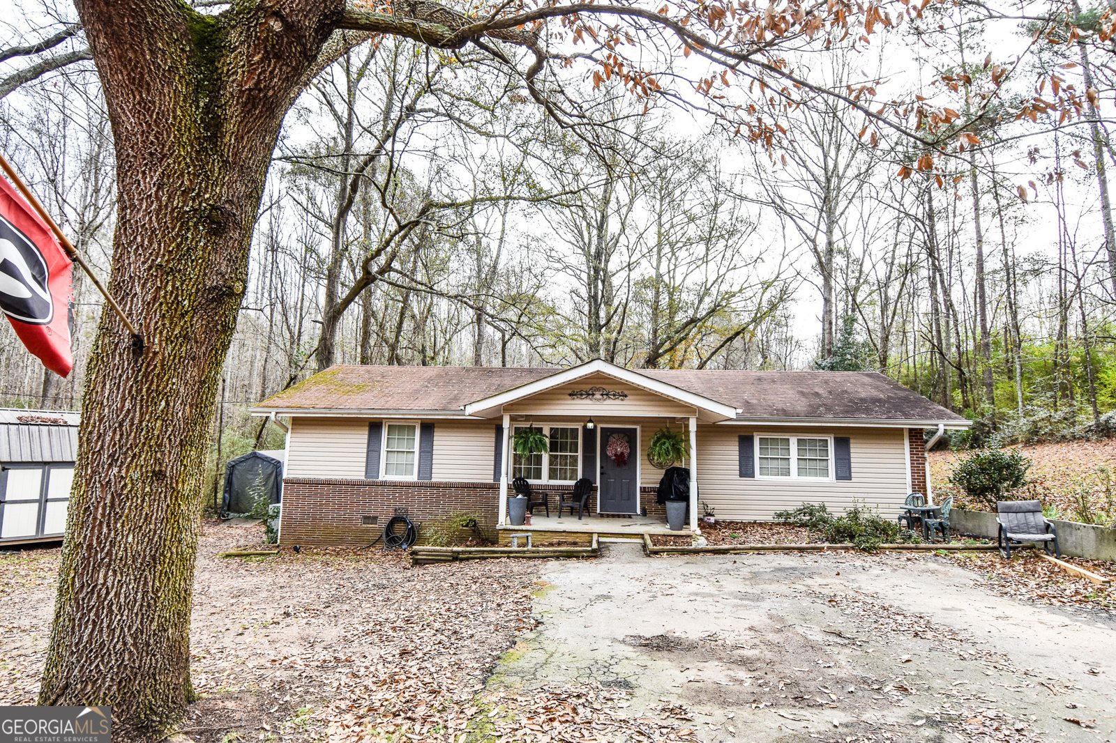 871 Lifsey Springs Road Molena - 1