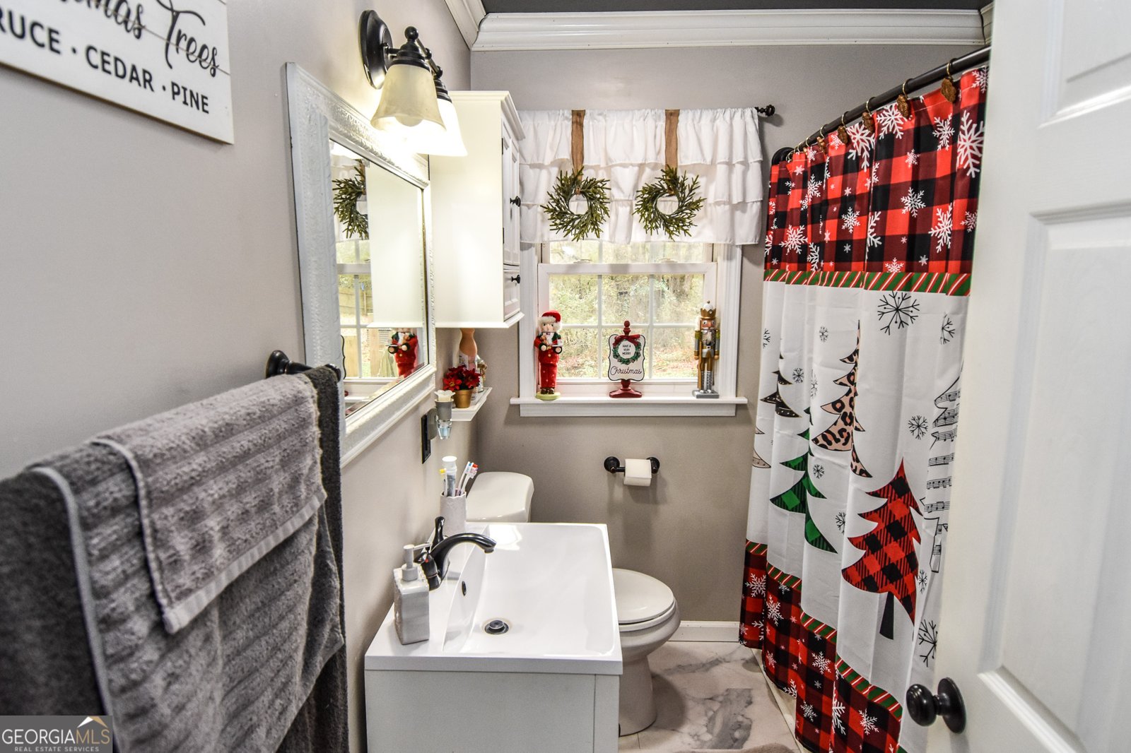 871 Lifsey Springs Road Molena - 47