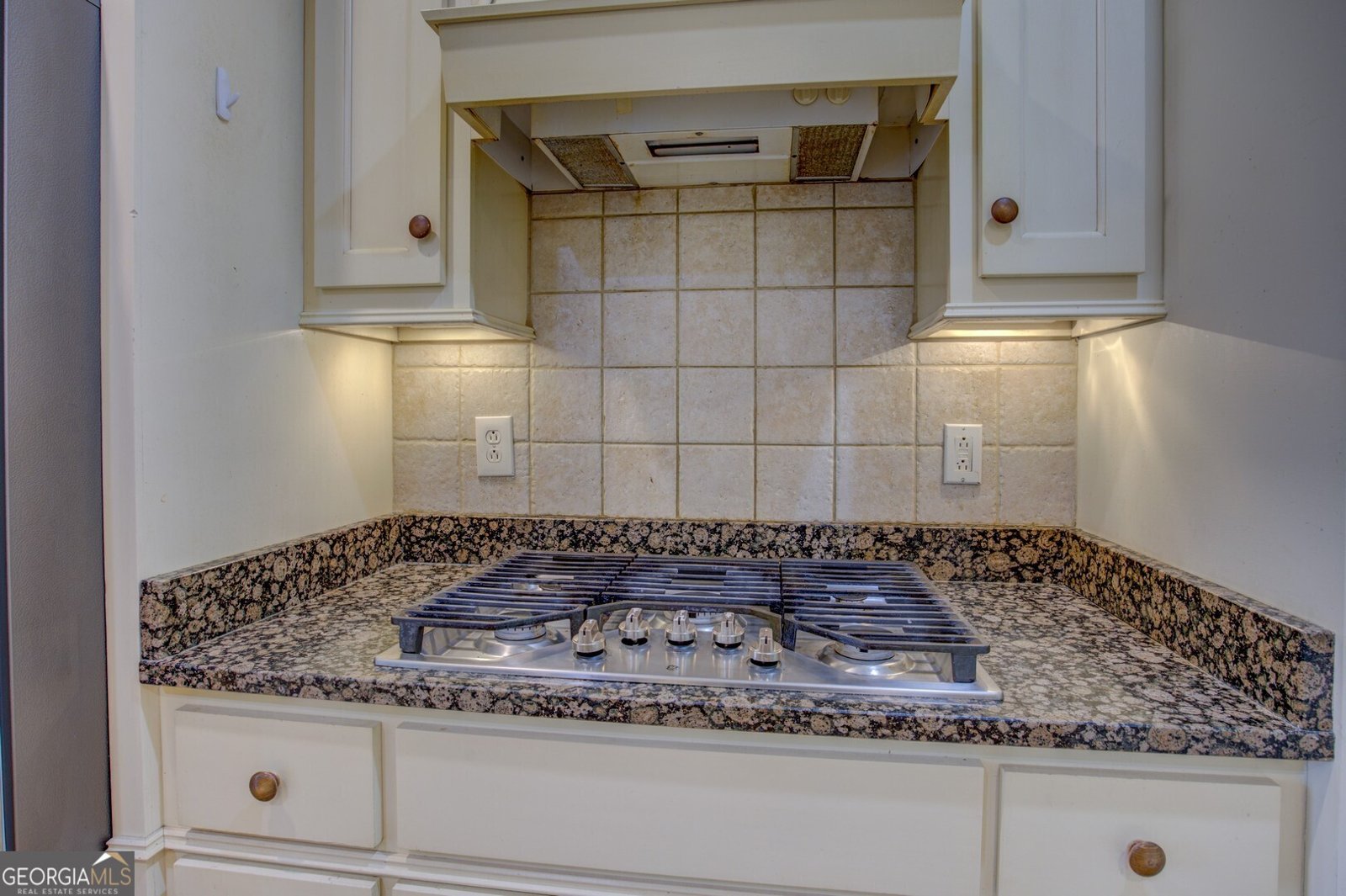 163 Broadleaf Drive Macon - 17