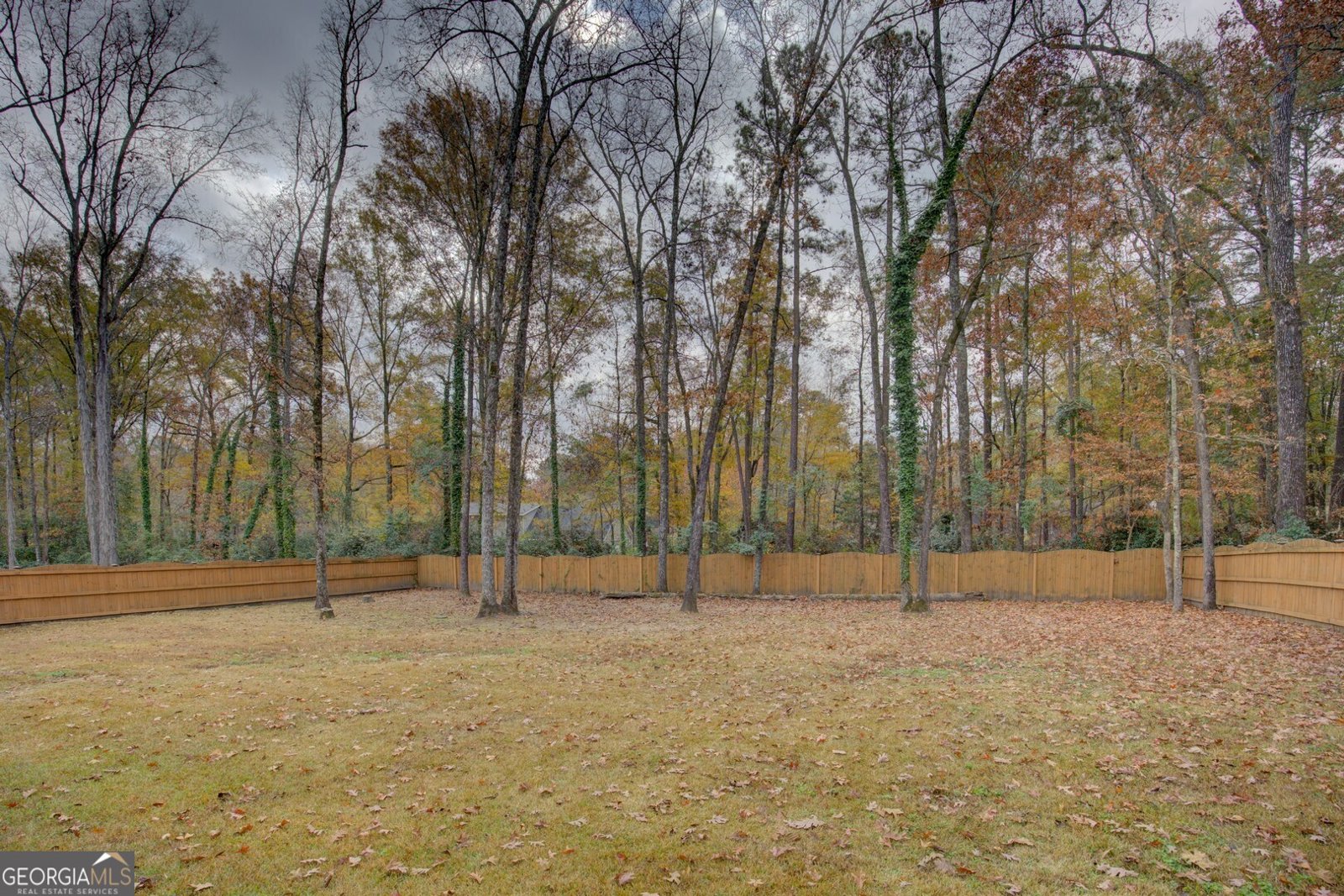 163 Broadleaf Drive Macon - 43