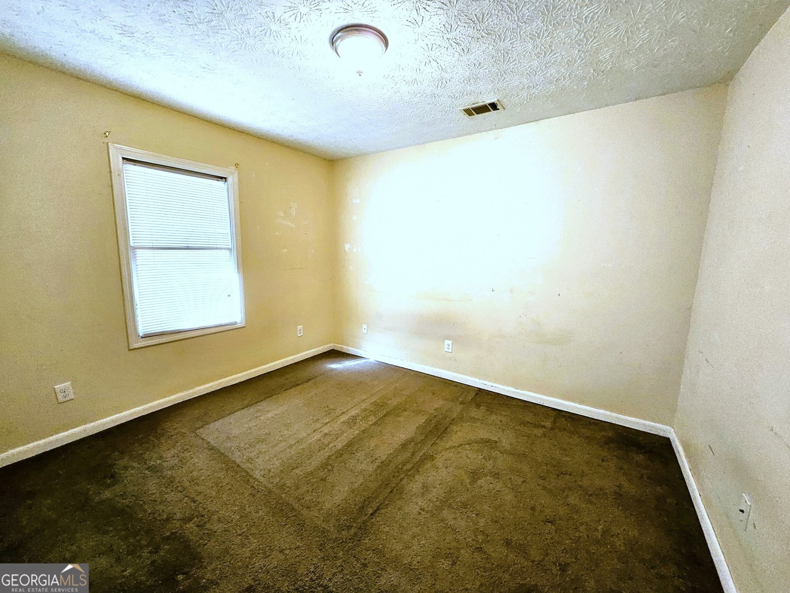 2462 Sharpsburg McCullum Road Newnan - 9