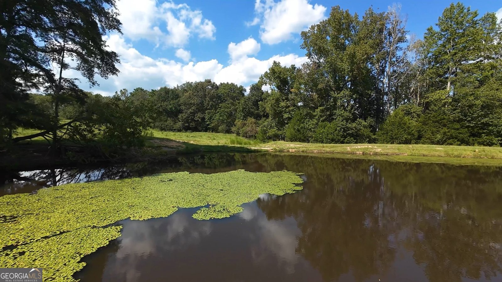 6215 GA HWY 34 Franklin - 37