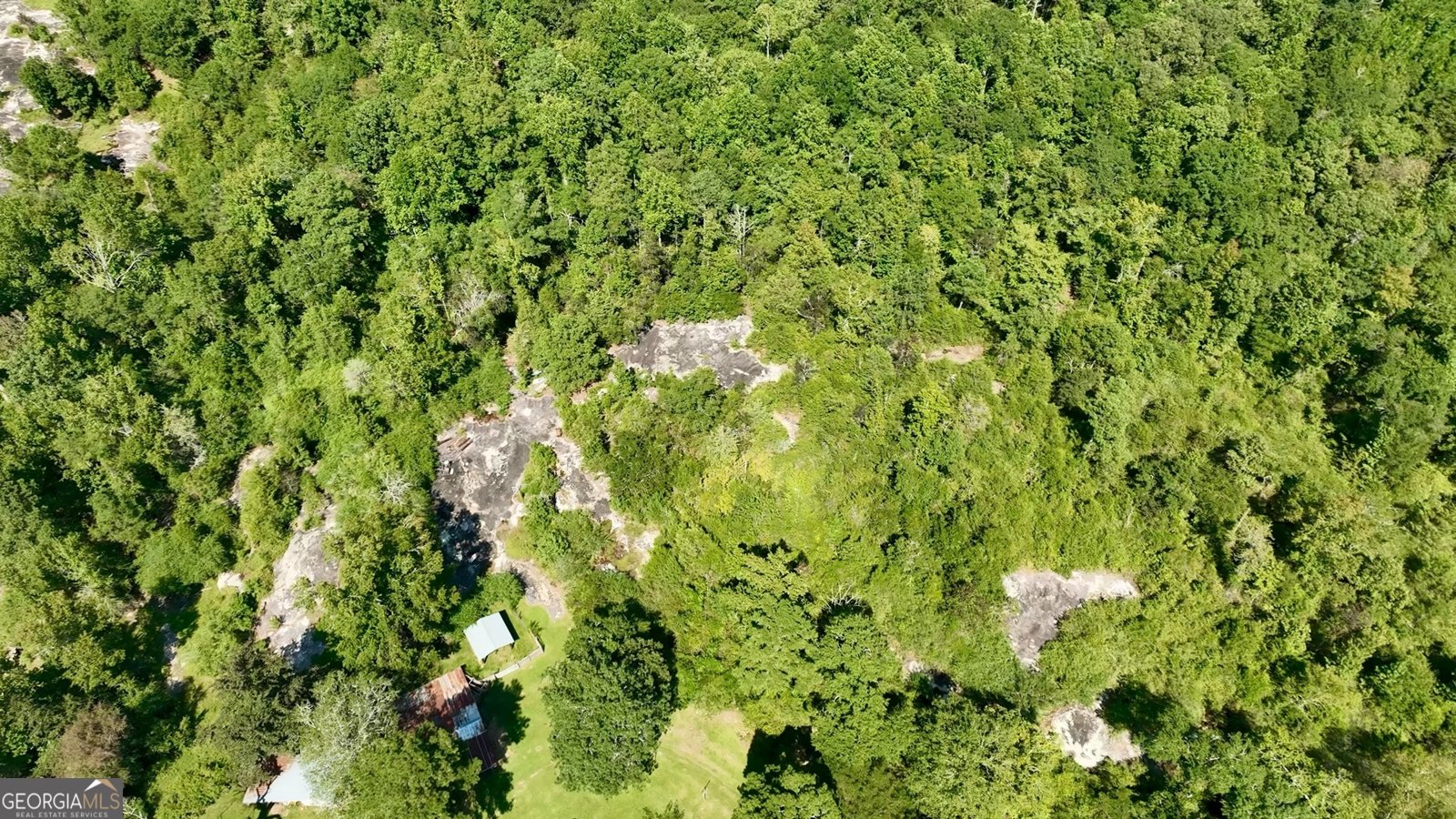 6215 GA HWY 34 Franklin - 60