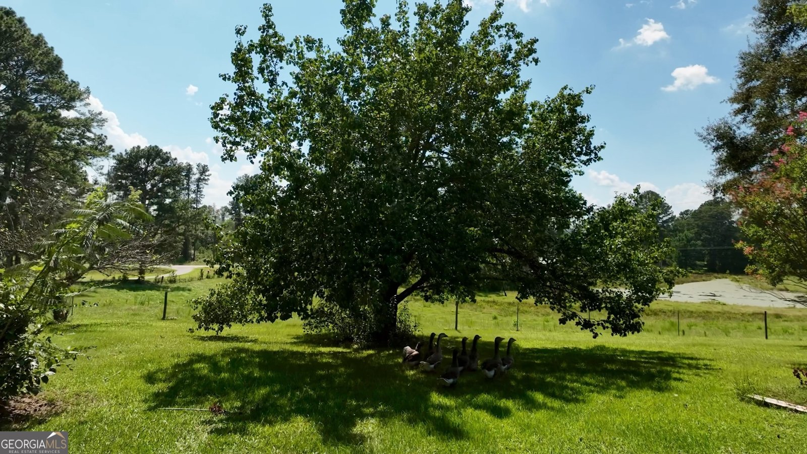 6215 GA HWY 34 Franklin - 61