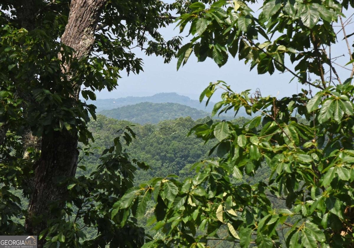 97 Deer Ridge Morganton - 3