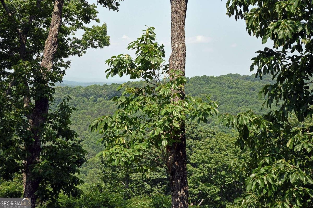 97 Deer Ridge Morganton - 4